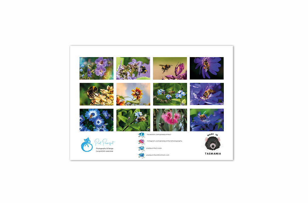 Thumbnail: 2023 Calendar - The Bee's Knees