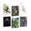 Thumbnail: Tiny Cards:  BIRDS - 6 x 6 Pack Gift Cards
