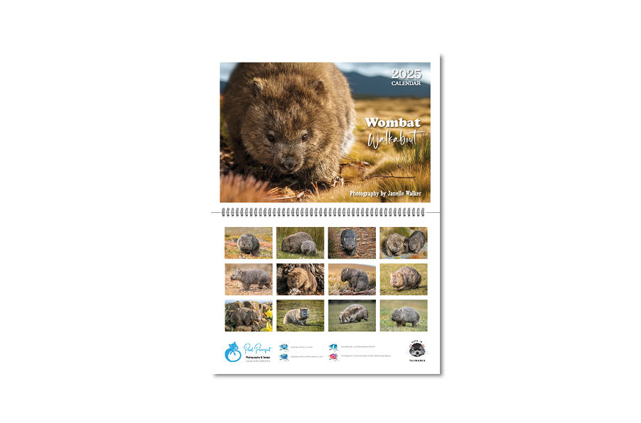 Thumbnail: 2025 Calendar - Wombat Walkabout