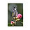 Thumbnail: Mounted Fine Art Print - Crescent Honeyeater