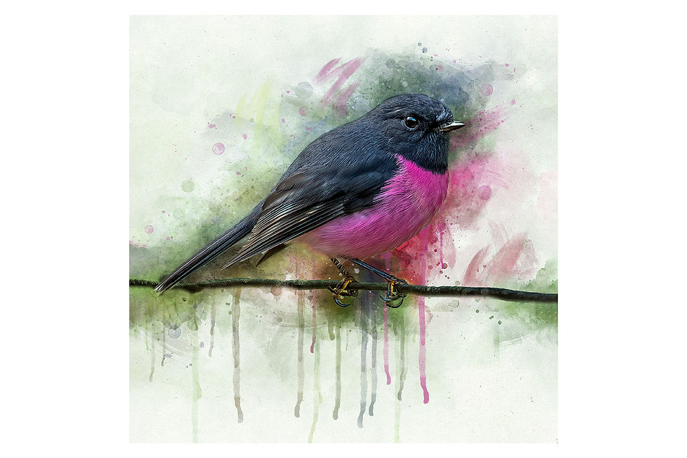 Thumbnail: Acrylic Blocks - Pink Robin Watercolours