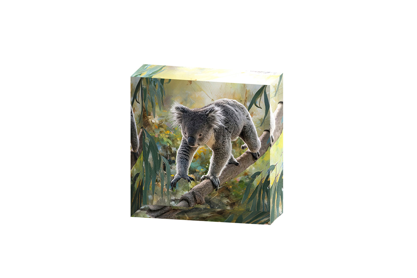 Acrylic Block - Koala