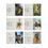 Thumbnail: Tiny Cards:  WRENS, ROBINS & PARDALOTES - 6 x 6 Pack Gift Cards