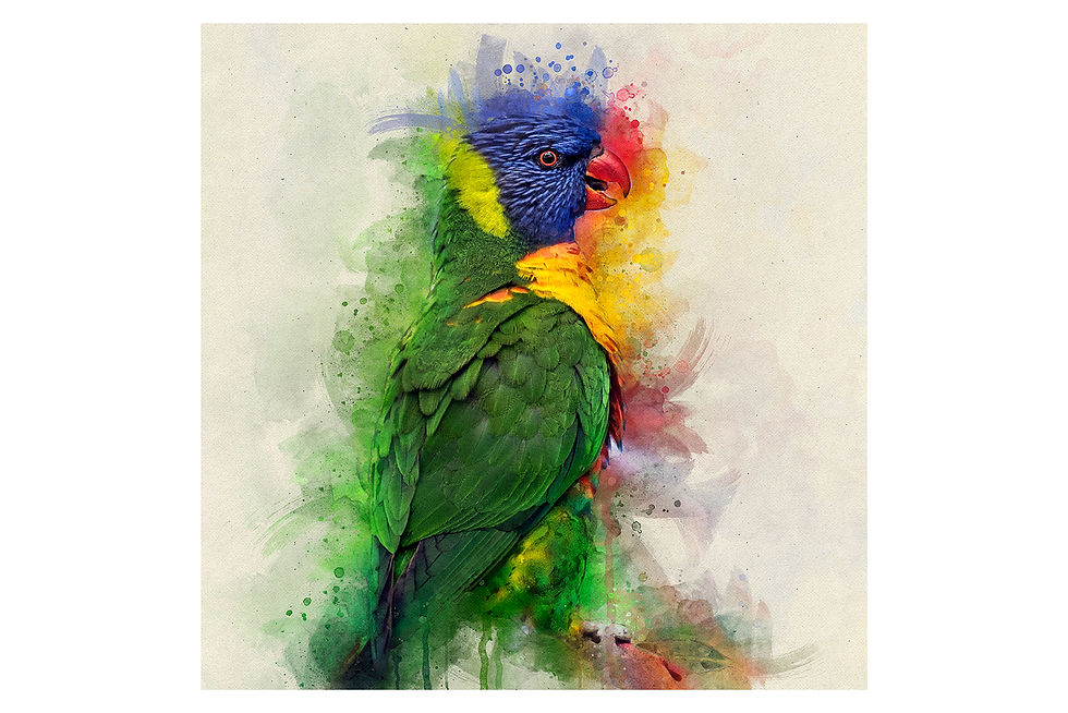 Thumbnail: Acrylic Block - Rainbow Lorikeet Watercolour