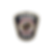 Colonie PD Logo.png