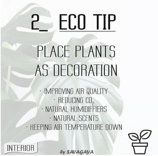 Plants in interior - adventages