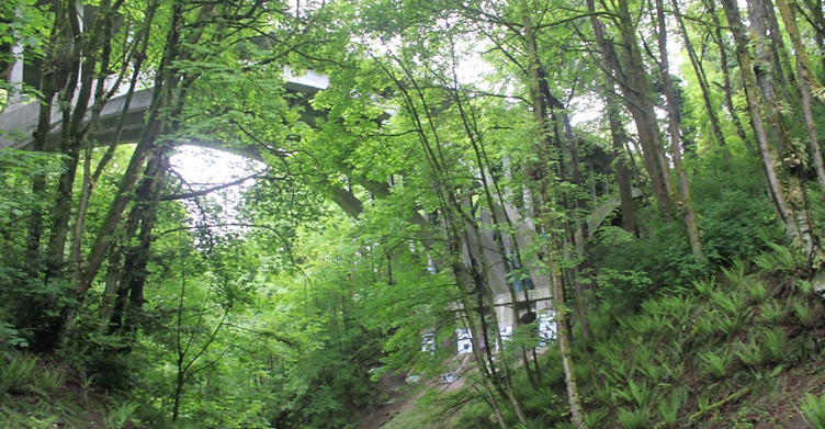 Screen Shot 2019-10-02 at 12.12.03 AM.pn