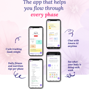 Asele 2025 Year in Review: What We Built, What We Learned, and What’s Next