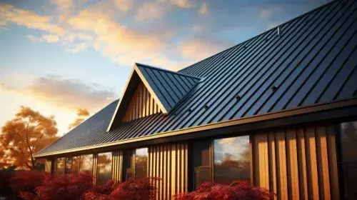 65a79344a84e381f36a8e187_Metal Roof-p-500.webp