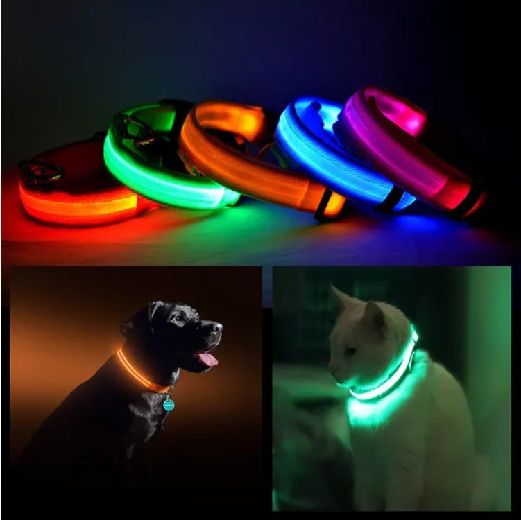 Thumbnail: LED PET Safety Halo Style Collar