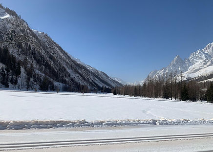 WhatsApp Image 2025-11-10 at 17.15.03.jpeg