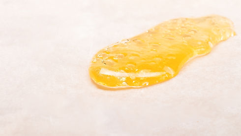 Astraea Site Images.jpg