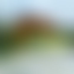 Stání pro automobil.