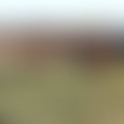 Zakázková výroba Pergol. PERGOLY DN