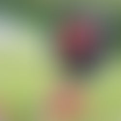 Kotevní patky hotové ✅