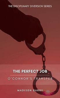 The Perfect Job Cover.jpg