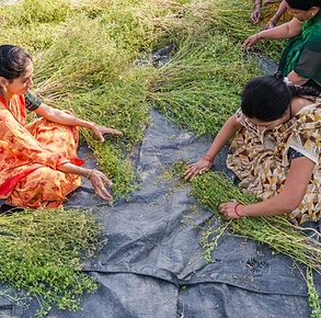 Screenshot 2026-02-12 at 2.12.22 PM.png