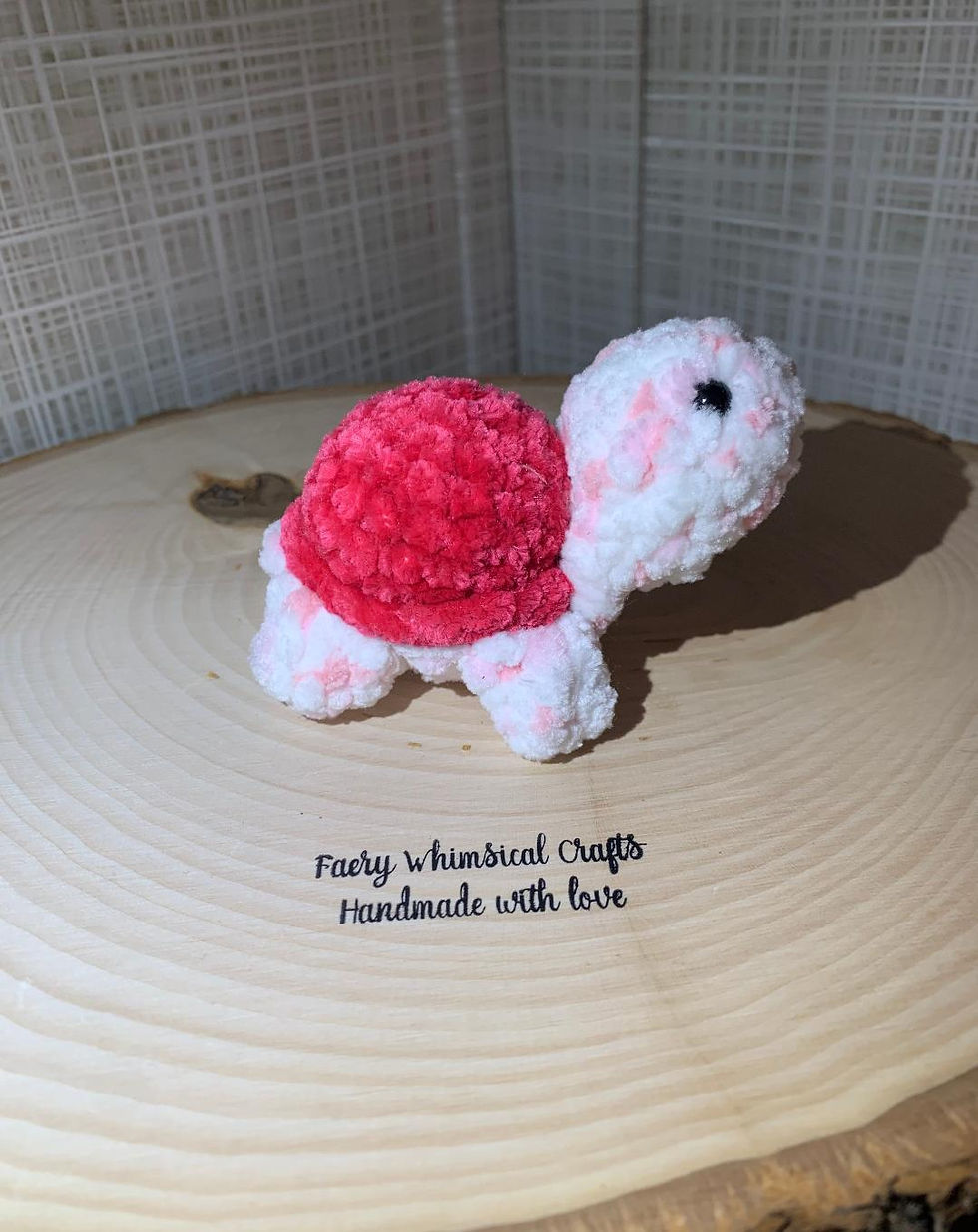 Thumbnail: "Tilly the Turtle"