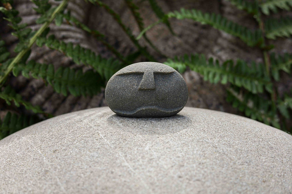 Thumbnail: Stone Face Family
