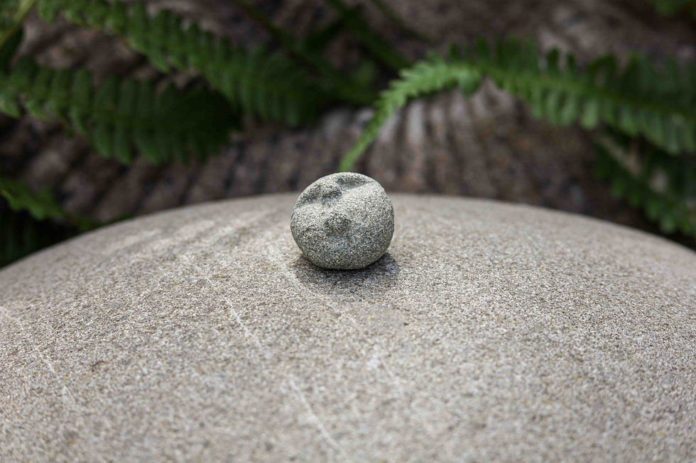 Thumbnail: Stone Face Family