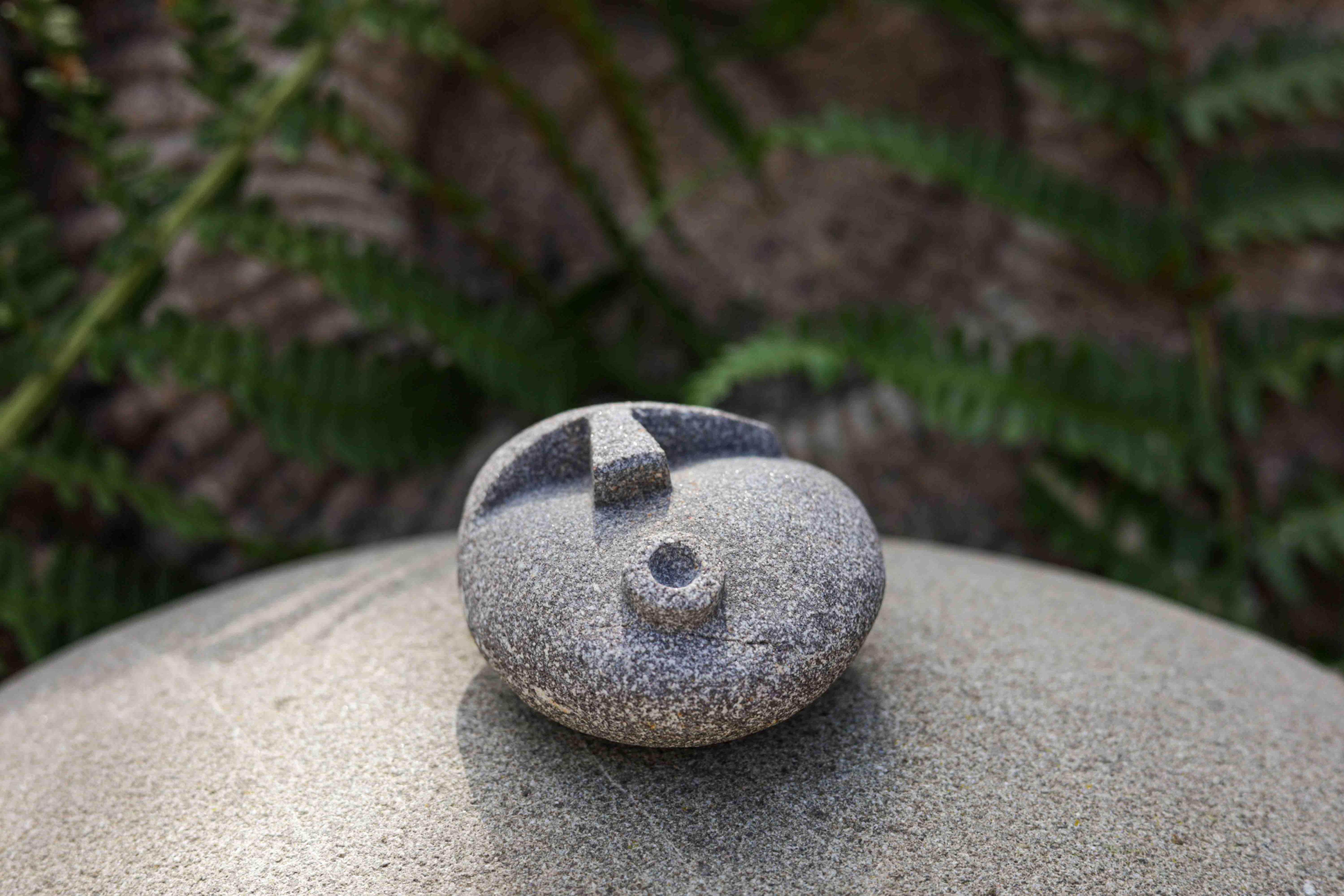 Whistler Stone Face