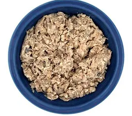 Your Pet's Gut Health: Why It Matters and How to Support It Naturally