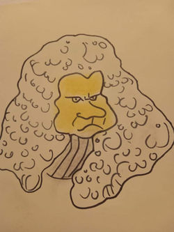 FB_IMG_1674298920353