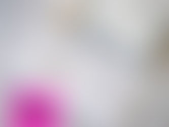 The Cardkive Wedding Card Box has won The Knot Registry Award 2026!