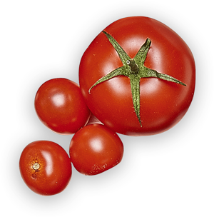 tomate-groupe.png