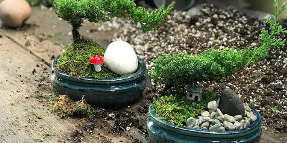 New Year Bonsai 101 (new year new hobby)
