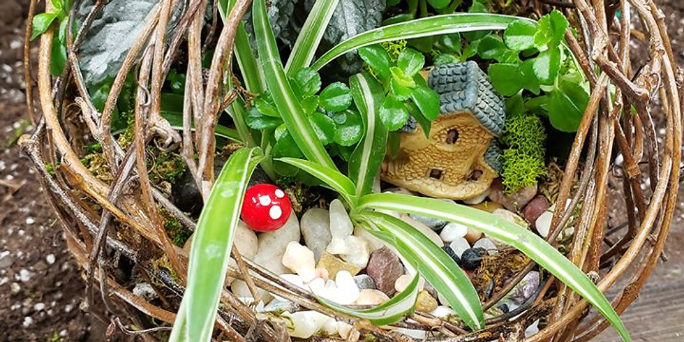 Fairy Globes