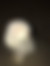 sahiplendirme için kedi ilanlari gösteren ikinci küçük fotoğraf