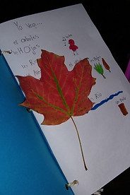 20210930_191421.jpg