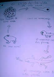 20211202_151745.jpg