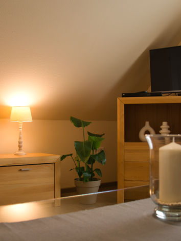 MS-Apartments I Wohnzimmer Sielterrasse 2