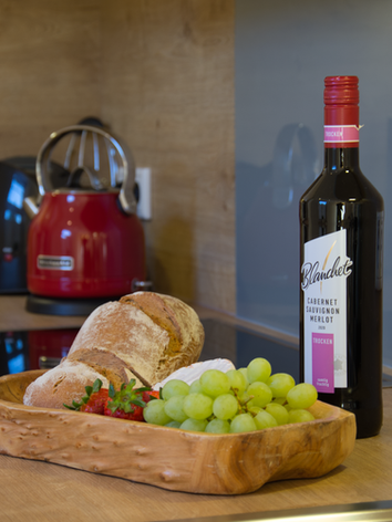 MS-Apartments I Küche Sielterrasse 1