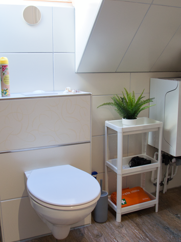 MS-Apartments I Badezimmer Sielterrasse 2