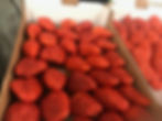 Le-Fruitier-Bompas3