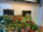 Le-Fruitier-chez-fabienne11