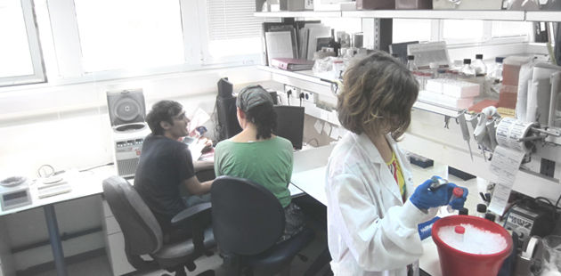 barkai_lab_no_graphs