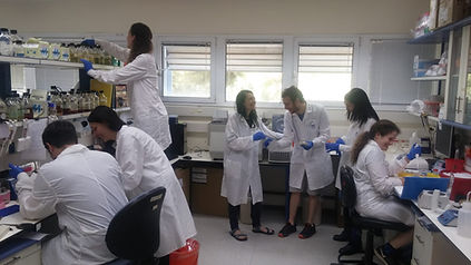 lab2018_1.jpeg