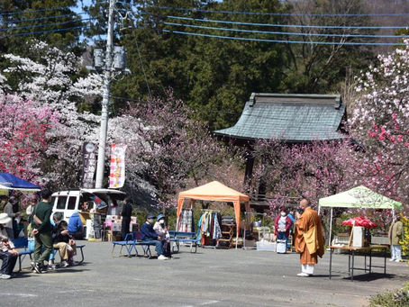 【2021/4/3 放光寺はなまつり】おもてなし参上