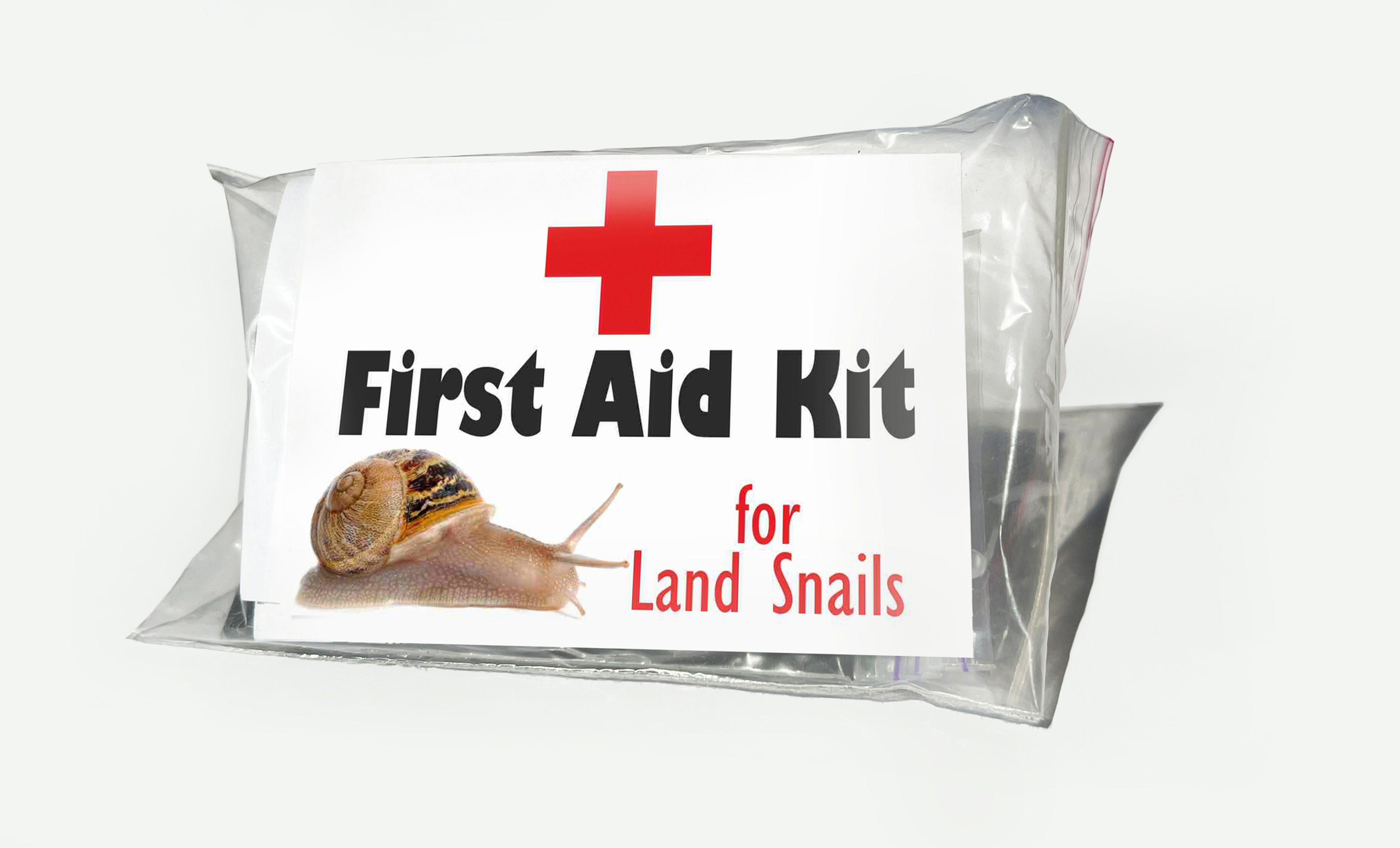 Snail's First Aid complete pack. Pet snail emergency care kit.
