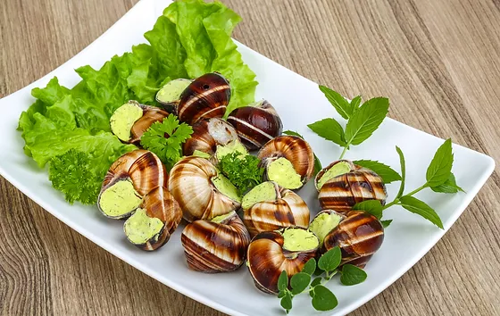 Snail Facts What Do Snails Eat Giant African Land Snail Etc
