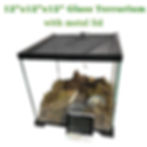 Glass Terrarium for Pet Snail