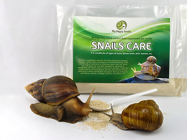 Snail-Care-Natural-Feed-Nutrition.JPG