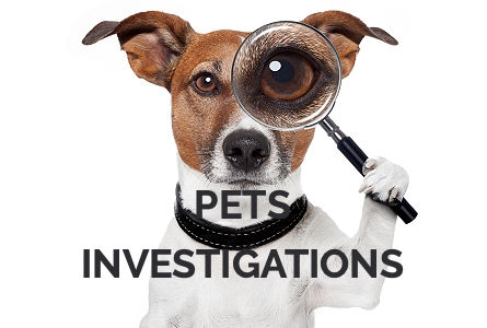 Pet Investigations