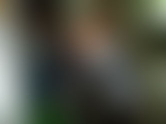 День толерантності