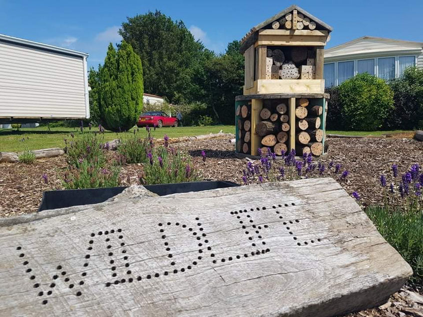 bug house.jpeg