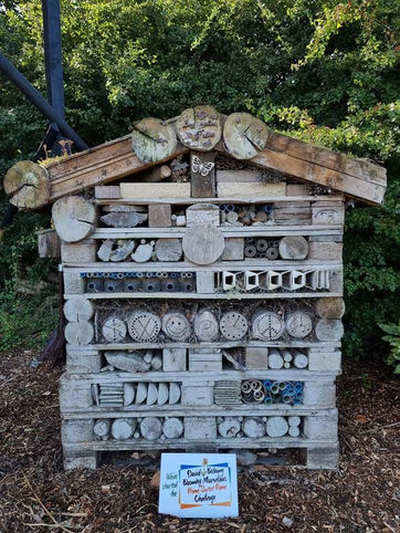 bug house 4.jpeg